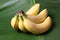 Bananas on a bananaleaf