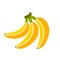 Bananas bunch vector illustration