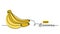 Bananas bunch vector illustration. One continuous line drawing art illustration with lettering sweet bananas