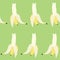 The Bananas chorus line in green