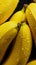 bananas close-up in water drops. Generative AI