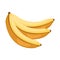 Bananas fruit icon image