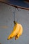 Bananas, Fruit Stand, Oahu