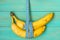 Bananas hanging on a measuring tape