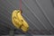 Bananas hanging on the rope. Blurred background