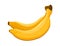 Bananas icon