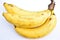 Bananas isolate on white background.