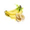 Bananas isolated on white background. Slices of yellow banana. Banana is an edible fruit, botanically a berry. Fiber, banana wine