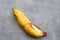 The bananas is medium ripe with brown spots all over the yellow skin.