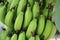 Bananas organic green color on tree background agriculture fresh