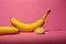 Bananas with a pink background