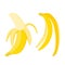 Bananas set. Whole open fruit and peel, vector illustration