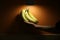 Bananas in spotlight