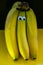 Bananas on a string, yellow background, funny bananas with eyes, background