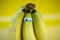 Bananas on a string, yellow background, funny bananas with eyes, background