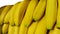 Banane fruit isolated nature tropical yellow background. Color, close.