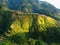 Banaue Rice Terraces