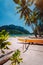 Banca boats under palm trees on sandy beach in Corong corong, El Nido, Palawan, Philippines
