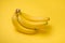 A banch of bananas on yellow background.