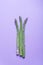 Banches of fresh green asparagus on lilac background