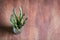 Banches of fresh green asparagus on wooden background