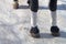 Bandaged legs of a black horse with white bandages to protect against injuries on white snow in winter