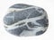 banded Gneiss tumbled stone on white