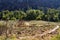 Bandelier National Monument