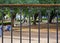 Bandstand grid detail on public square in Minas Gerais