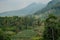 Bandung\\\'s Serene Vista: Misty Mountains and Rice Fields