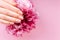 Baner of Beautiful Woman Hands with fresh eustoma. Spa and Manicure concept. Female hands with pink manicure. Soft skin