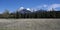 Banff Landscape