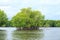 Bang Kayak is a largest mangrove forests in Asia, Krasaop natural park, Koh Kong, Cambodia