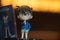 Bangkok, Thailand - August 10, 2019: Cute souvenir figure of Detective Conan the movie 23