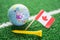 Bangkok, Thailand - January 20, 2022 Golf ball with Canada flag and tee on green lawn or grass is most popular sport in the world