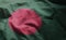 Bangladesh Flag Rumpled Close Up