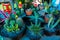 The Bangladesh nursery Growing difference Type of Colorful Cactus Nursery Plants