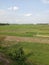 Bangladesh Village natural grain fields