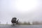 Bangladesh â€“ January 06, 2014: On a foggy winter morning, a worker is transporting some goods in a van at Ranisankail,