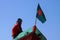 This a Bangladeshi flag in the boat