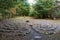 Bangor, Pennsylvania: Labyrinth of stones at Columcille Megalith Park