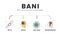 BANI is an acronym made up of the words brittle, anxious, non-linear and incomprehensible. BANI world infographic template with