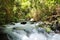 Banias Waterfall