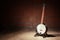 Banjo is standing in front of a raw brick wall in the rehearsal garage of a band, music concept, copy space