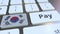 Bank card featuring flag of South Korea as a key on a computer keyboard. Korean online payment conceptual animation