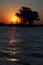 Bank of the Chobe River at sunset