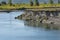 Bank erosion on the Buffalo Fork River, Moran, Wyoming.