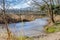 Bank of the river Geul surrounded by wild plants, long exposure photography