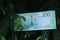 Banknote two hundred Russian rubles. Cash paper green money on a black background with a Christmas tree branch.