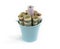 banknotes in a bucket. Dollars and Euros in little decorative blue.